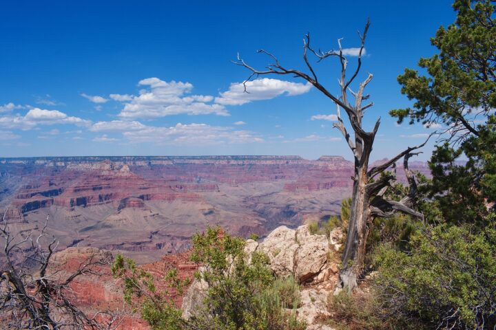 grand canyon, landscape, mountains-1927511.jpg